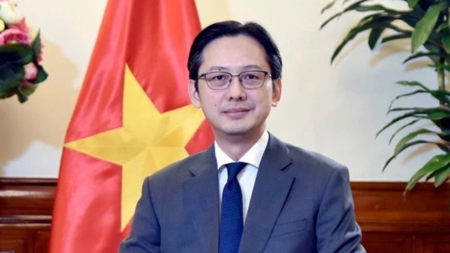 Vietnam commits to building sustainable, inclusive ASEAN Community: Diplomat